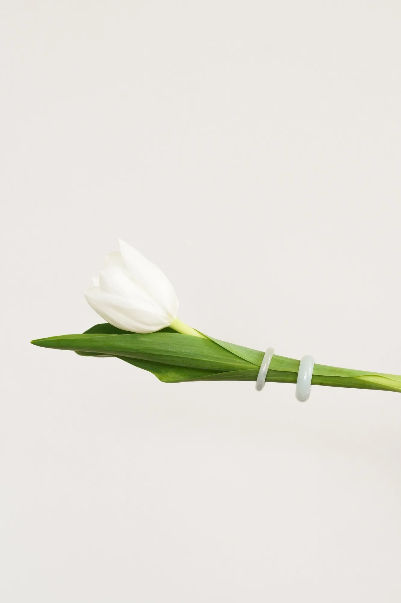 THỨC product photography · 10