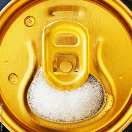 Can-tab reference shown in the original identity presentation